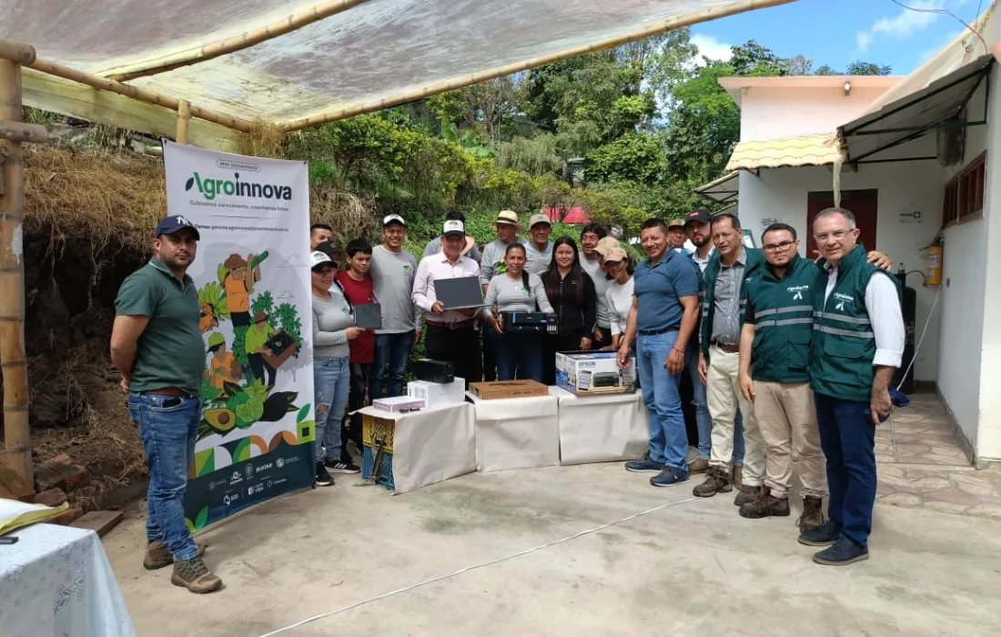 groInnova promueve el uso de tecnologías en pequeños y medianos productores de aguacate Hass, lima ácida Tahití y plátano en el suroccidente del país.