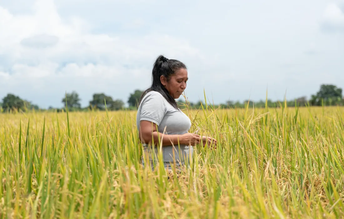 autonomía económica territorial autonomía económica territorial