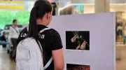 Muralismo y fotografía, una oda a la biodiversidad de la Javeriana Cali que engalana los pasillos del Centro Comercial Jardín Plaza Muralismo y fotografía, una oda a la biodiversidad de la Javeriana Cali que engalana los pasillos del Centro Comercial Jardín Plaza