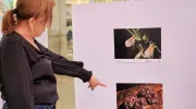 Muralismo y fotografía, una oda a la biodiversidad de la Javeriana Cali que engalana los pasillos del Centro Comercial Jardín Plaza Muralismo y fotografía, una oda a la biodiversidad de la Javeriana Cali que engalana los pasillos del Centro Comercial Jardín Plaza