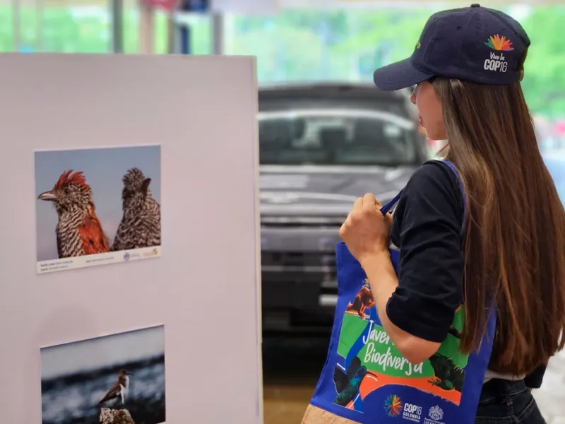 Muralismo y fotografía, una oda a la biodiversidad de la Javeriana Cali que engalana los pasillos del Centro Comercial Jardín Plaza Muralismo y fotografía, una oda a la biodiversidad de la Javeriana Cali que engalana los pasillos del Centro Comercial Jardín Plaza