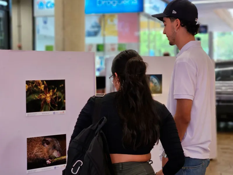 Muralismo y fotografía, una oda a la biodiversidad de la Javeriana Cali que engalana los pasillos del Centro Comercial Jardín Plaza Muralismo y fotografía, una oda a la biodiversidad de la Javeriana Cali que engalana los pasillos del Centro Comercial Jardín Plaza