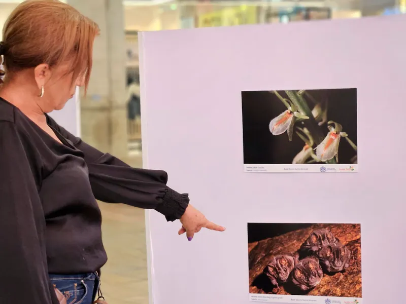 Muralismo y fotografía, una oda a la biodiversidad de la Javeriana Cali que engalana los pasillos del Centro Comercial Jardín Plaza Muralismo y fotografía, una oda a la biodiversidad de la Javeriana Cali que engalana los pasillos del Centro Comercial Jardín Plaza