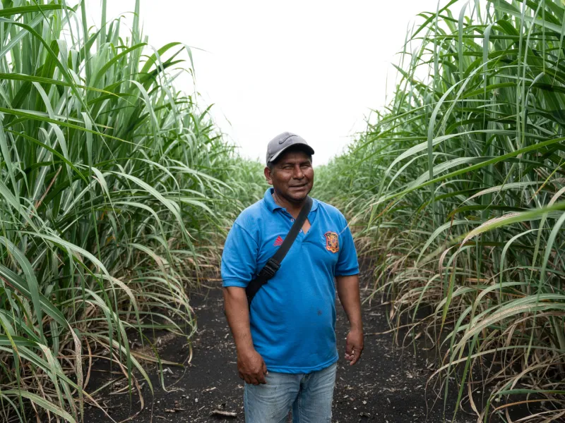 Autonomía económica Autonomía económica