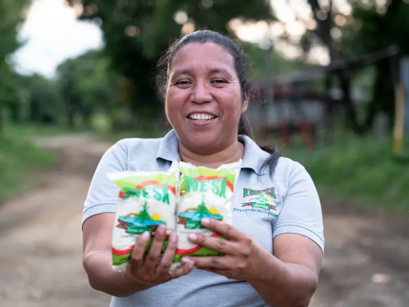 autonomía económica territorial  autonomía económica territorial