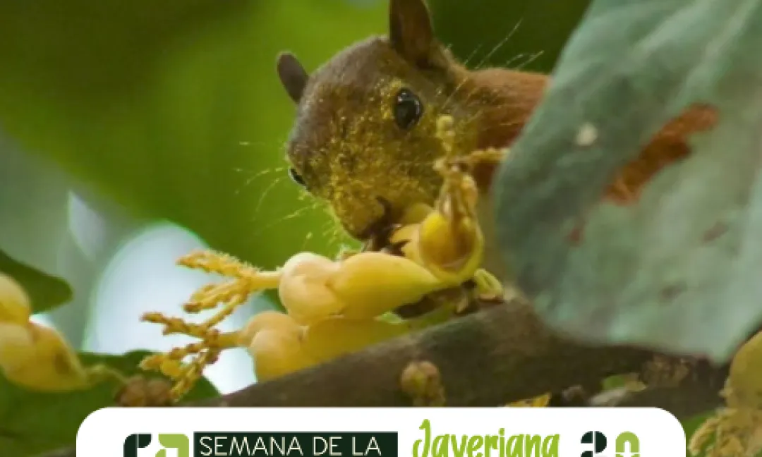 Javeriana Biodiversa 2025 Javeriana Biodiversa 2025